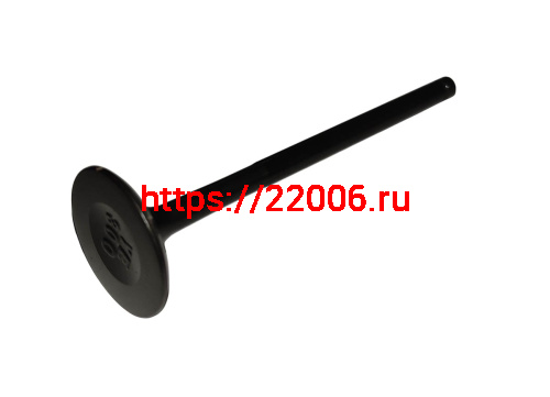 Клапан выпускной NB300  ZS (174MN-5) (100159114)