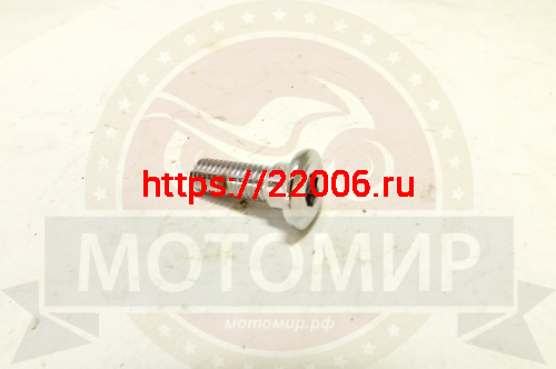 Болт М8*25мм под дисковый тормоз специальный Болт М8*25мм под дисковый тормоз специальный